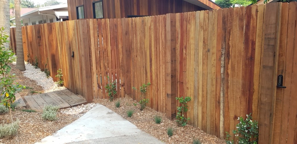 Hardwood paling fence with a garden gate and new plantings
